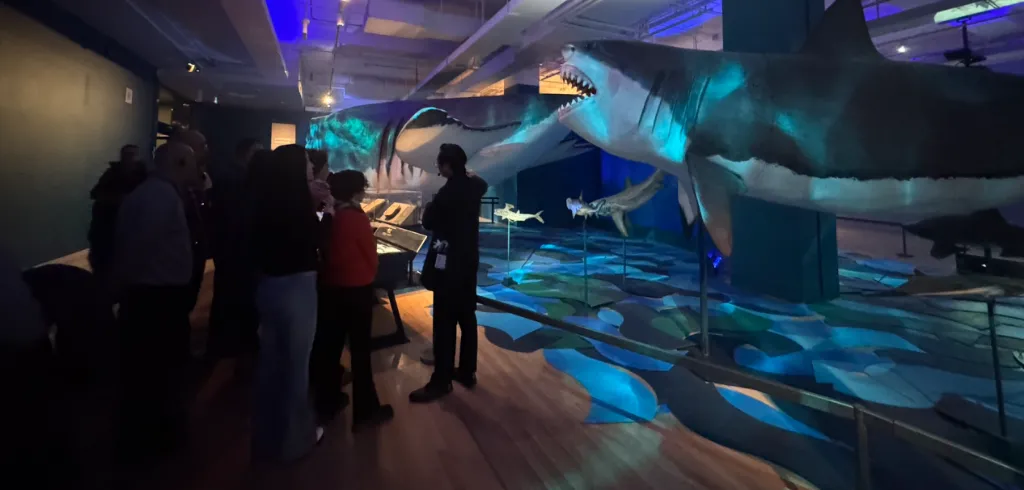 ROM Art Journey — Shark Exhibition - Photo 2