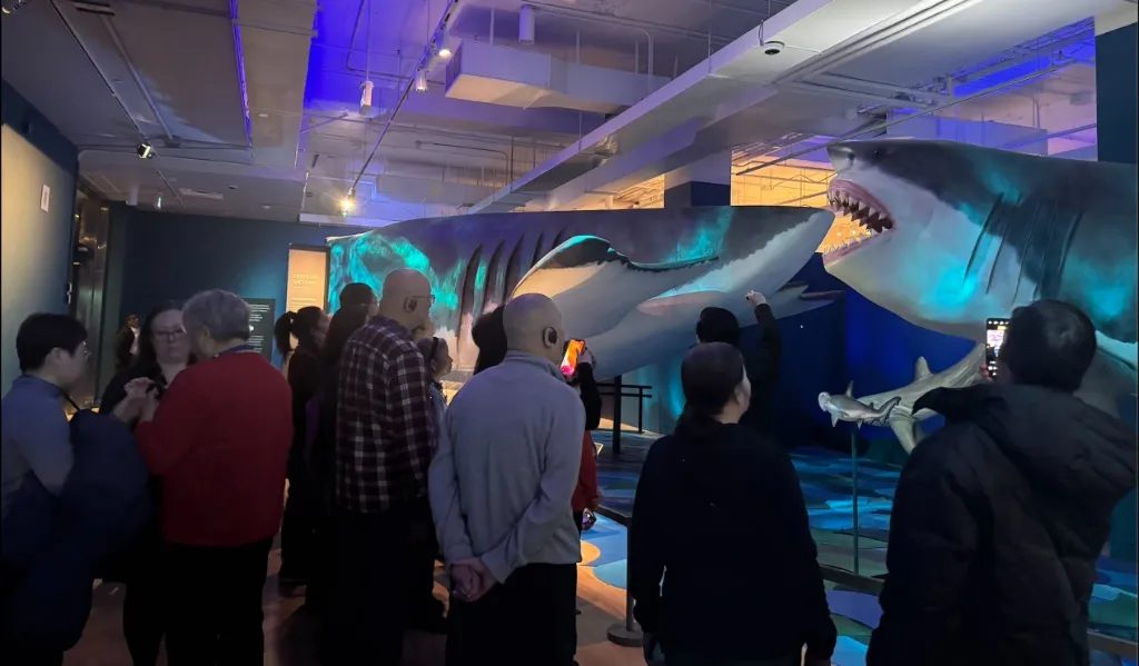 ROM Art Journey — Shark Exhibition - Photo 3