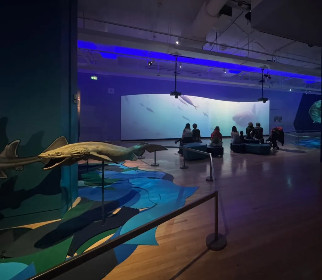ROM Art Journey — Shark Exhibition - Photo 7
