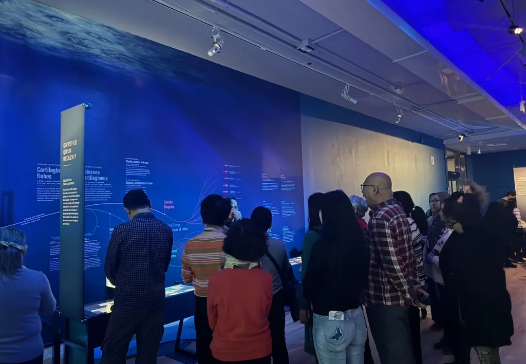 ROM Art Journey — Shark Exhibition - Photo 8