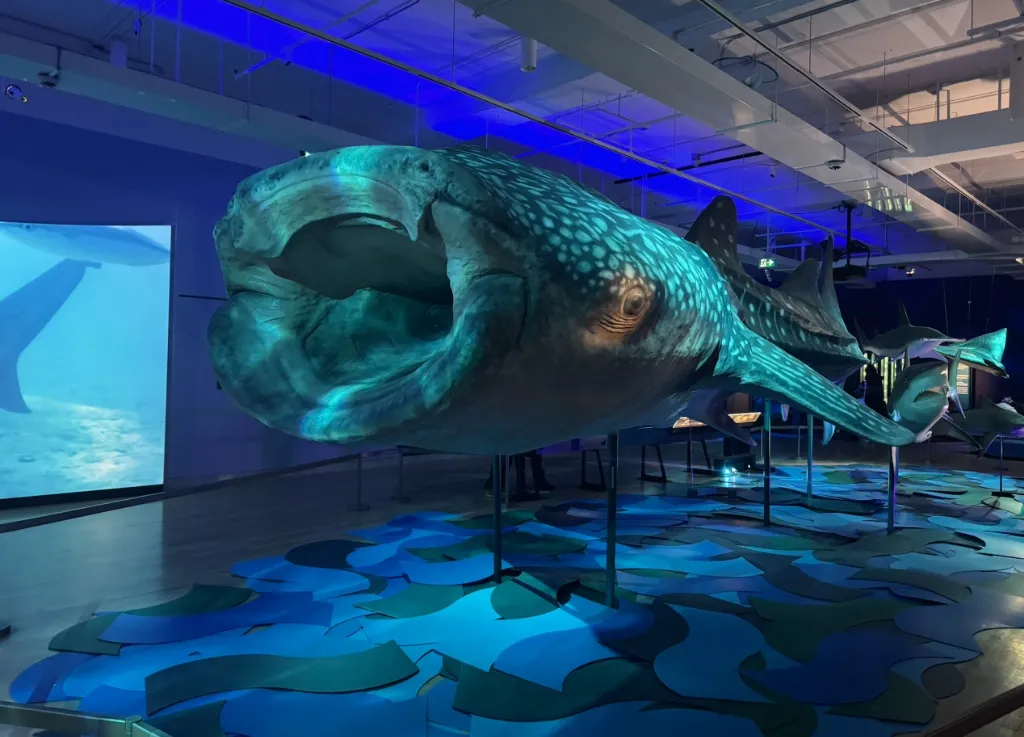 ROM Art Journey — Shark Exhibition - Photo 9